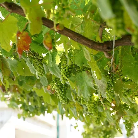 Casa Do Tio Armenio 3* 폰테 데 리마