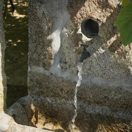 Pensión Casa Do Tio Arménio Ponte de Lima