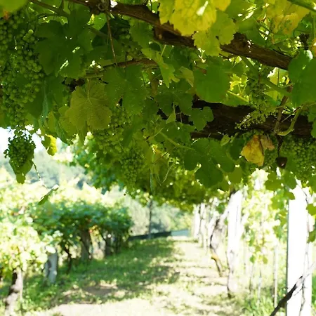 Casa Do Tio Arménio Ponte de Lima