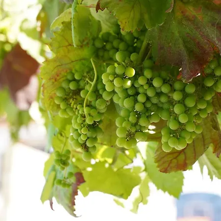 Casa Do Tio Arménio 3*