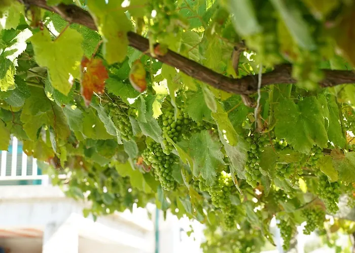 Casa Do Tio Armenio 3* Ponte de Lima