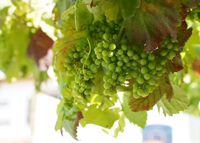 Casa Do Tio Armenio 3*